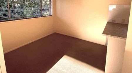 Sunny, Central and Spacious! - Photo 4