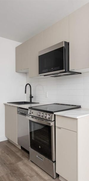 1 CH - 1 SDB - Montréal - $1,445 /mo - Photo 1