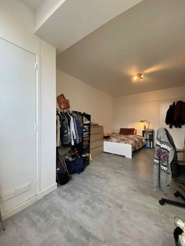 Kamers Paulus Potterstraat - Foto 3