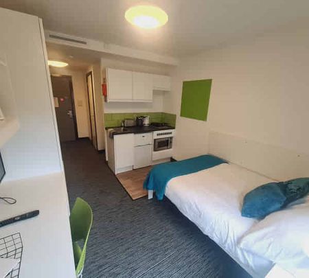 Studio Bronze - Photo 4