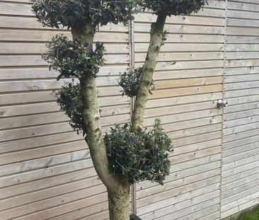 Woning te huur in Evergem voor € 1.200 met 3 slaapkamers - Foto 5