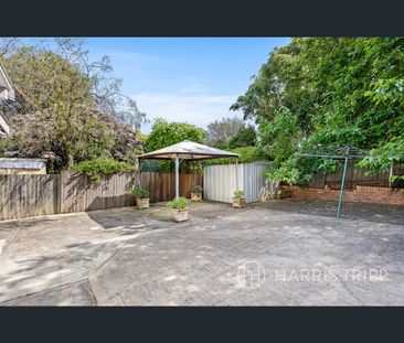 13 Princess Street, Ashbury, NSW 2193 - Photo 4