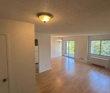 1 CH - 1 SDB - Côte Saint-Luc - $1,400 /mo - Photo 4