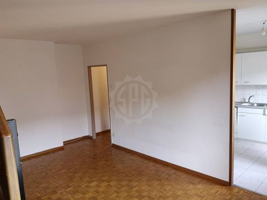 Appartement agréable – Genève - Photo 1
