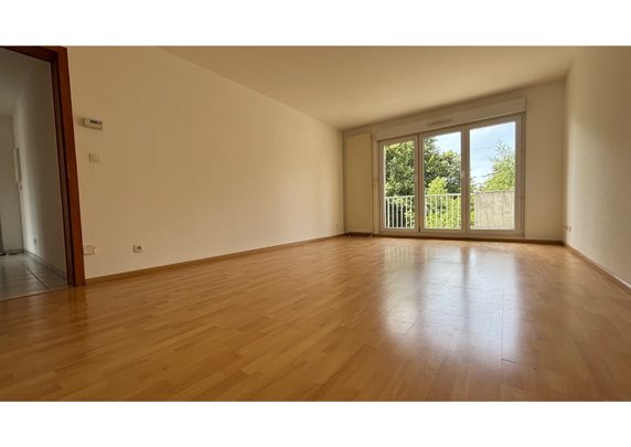 Location Appartement 3 pièces 63m² LUTTERBACH 68460 - Photo 1