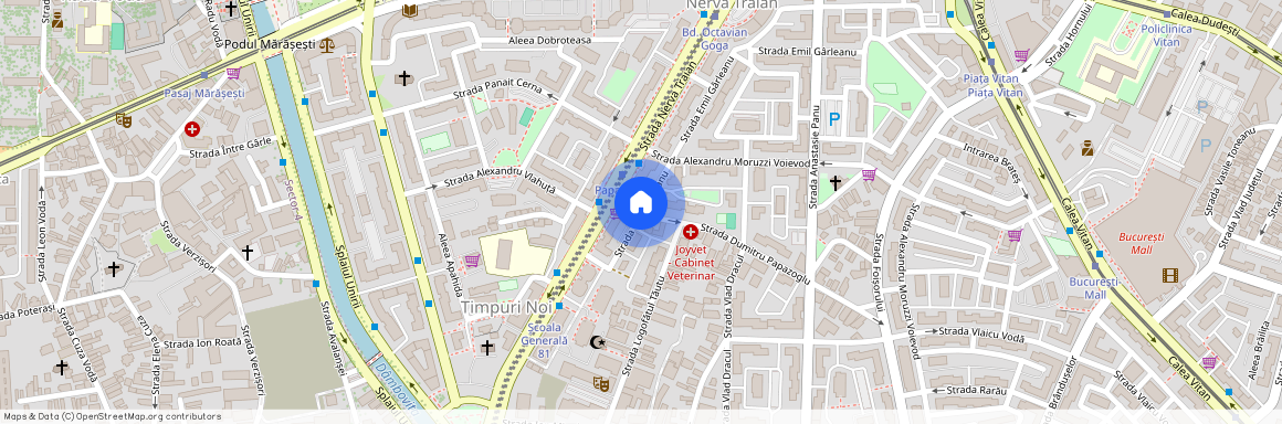 Strada Dumitru Papazoglu, Nerva Traian, Sectorul 3, Bucuresti