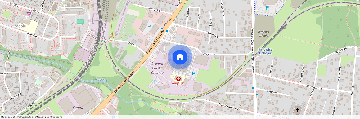 ul. Fabryczna, Piotrowice-Ochojec, Katowice, śląskie