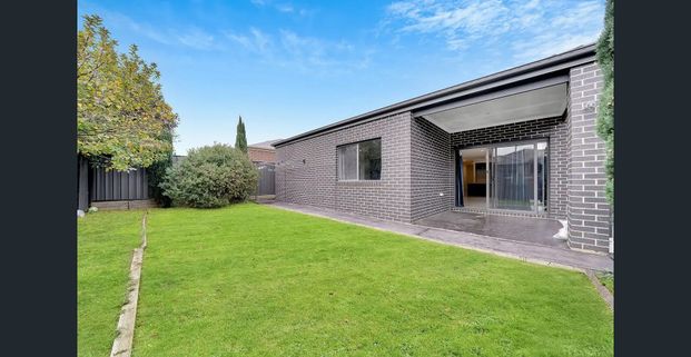 Ideal Family Lifestyle in a Sought-After Location!! - Photo 1