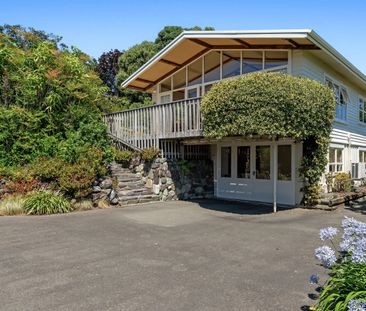 24A Kingsley Place, Richmond, Nelson - Photo 4