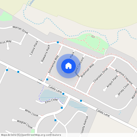 9 Galloway Place, NSW 2340, Calala