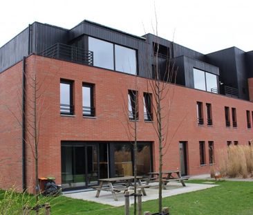 't Hoge 11 - Photo 6