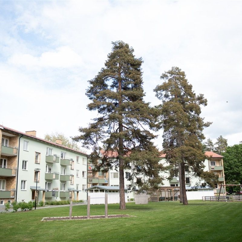 Bråbogatan 19 - Photo 1