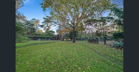 Four Bedroom Character Family Home on Massive Block - Photo 2