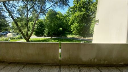 Apartment - Photo 4