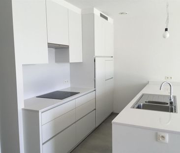 Hoogstraatsebaan 54, 2390, Malle - Photo 3