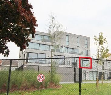 Appartement te huur in Sint-Truiden voor € 820 met 1 slaapkamer - Photo 6