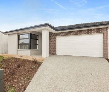 Brand New & Ready to call HOME! - Photo 4