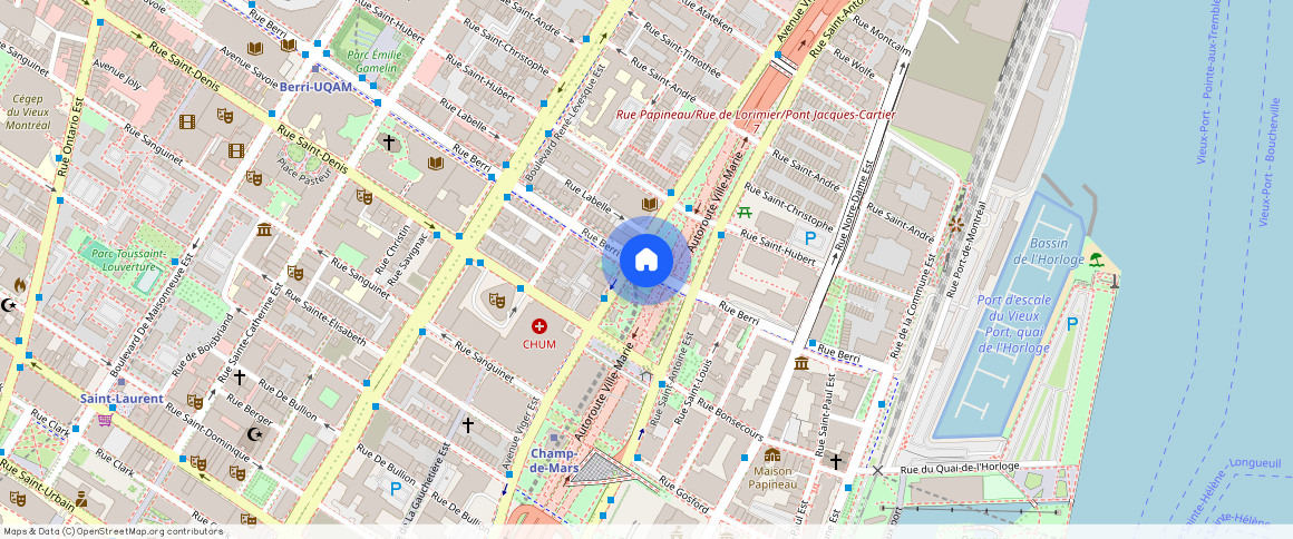 1150 Boul. René-Lévesque E., app. 613, Montréal (Ville-Marie), H2L0J6