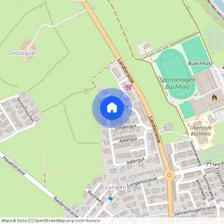 Lindengut, 10, 8750, Glarus