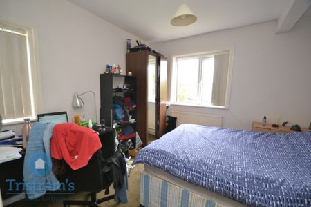 6 bed Semi-Detached House for Rent - Photo 4