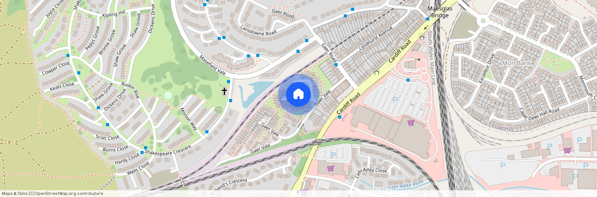 Gaer Vale Newport NP20 3HR