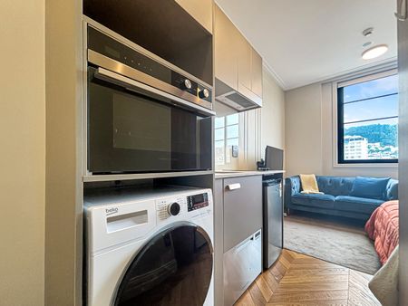 Welcome to 203A at Chevron Suites - Photo 4