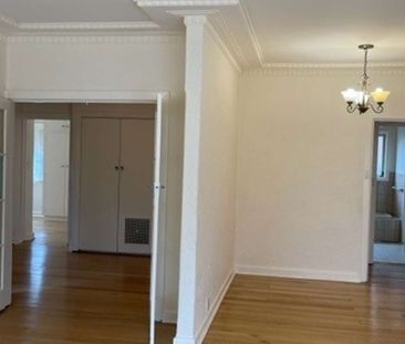 37A Whitmuir Road, Bentleigh - Photo 5
