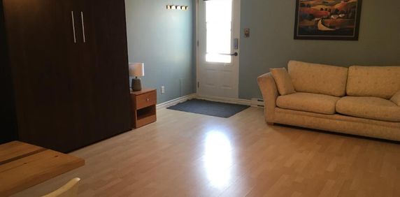 Grand studio tout équipé près du mont Ste-Anne - Photo 2