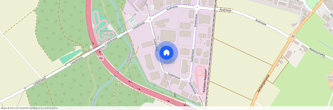 3250, Lyss, Südstrasse, 12