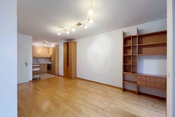 Helle 2-Zimmer-Wohnung mit West-Terrasse in ruhiger Lage - Foto 1