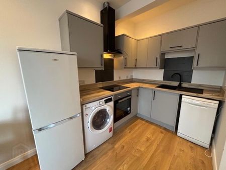 178b Ardenlee Avenue, Belfast, BT6 8PZ - Photo 4