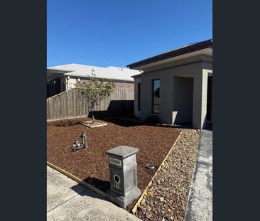 7 Leviticus Street, Epping, Vic 3076 - Photo 5