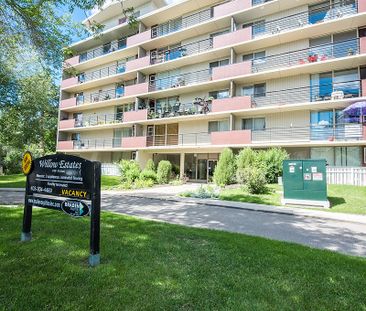 Willow Estates - Photo 1