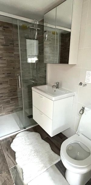 Location Appartement 1 pièce 39m² ST ETIENNE 42000 - Photo 2