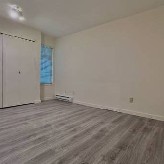 Spacious 1-Bedroom Apartment in the Heart of the West End - Photo 3