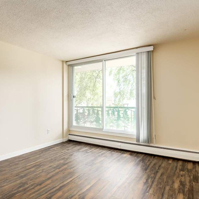 Premier Suite - 1 Bedroom - Photo 1
