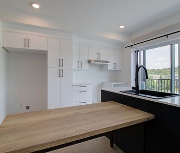 5001, boul. Bertrand-Fabi #204, Sherbrooke (Rock Forest | St-Élie) - Photo 3