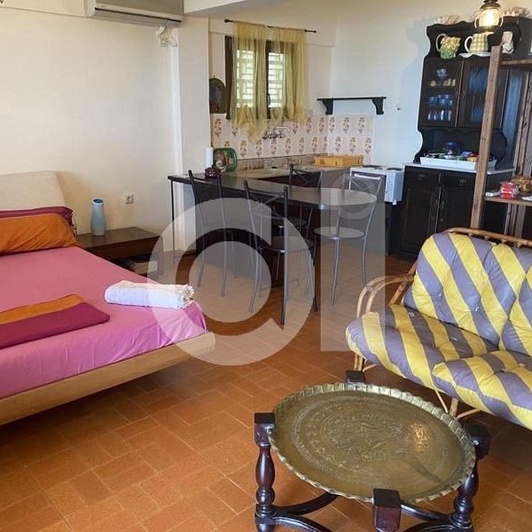 Studio/Γκαρσονιέρα για ενοικίαση Μαλεσίνα - Photo 1