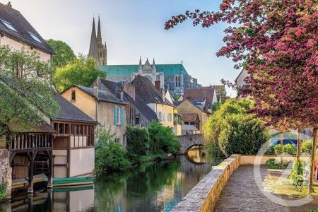 Appartement F2 à louer 2 pièces - 41,92 m2 CHARTRES - 28 - Photo 5