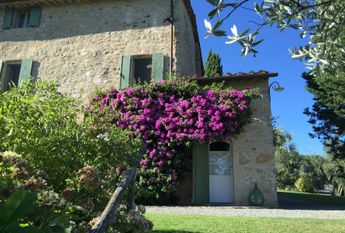 Farm and Ranch Property