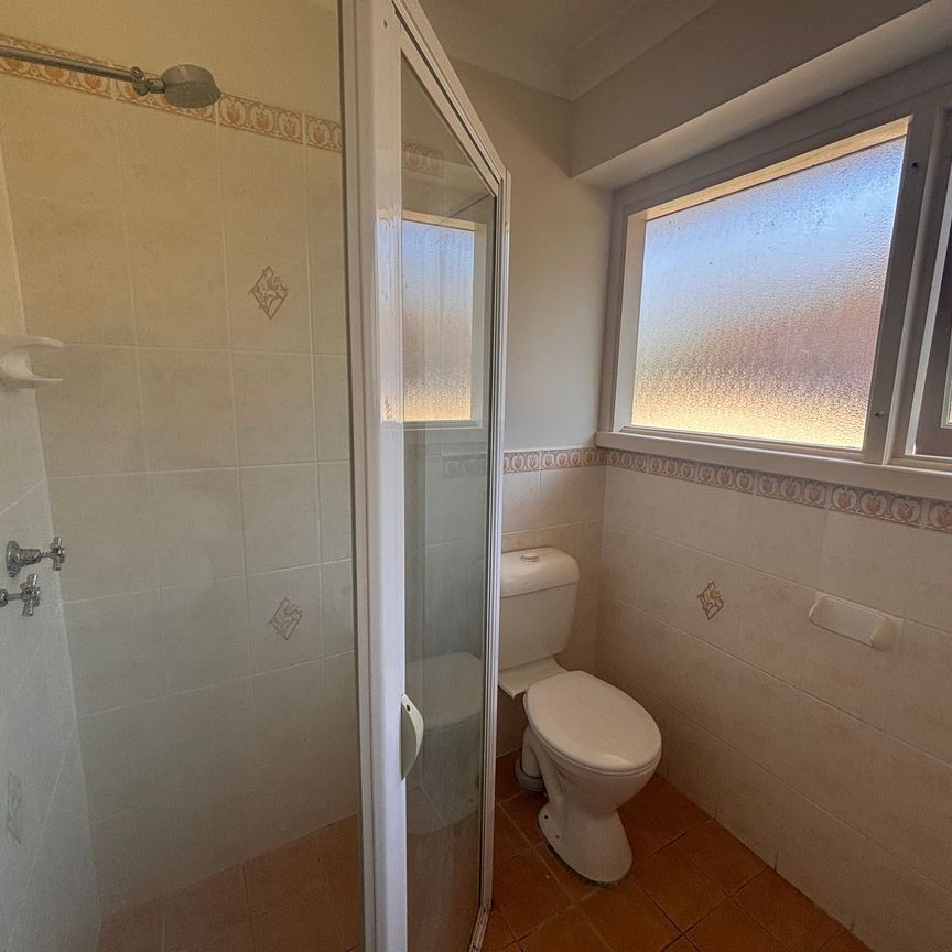 Sensational Space on Sampson - Photo 1