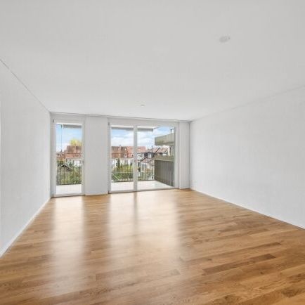 Appartement moderne à Birsfelden - Photo 1