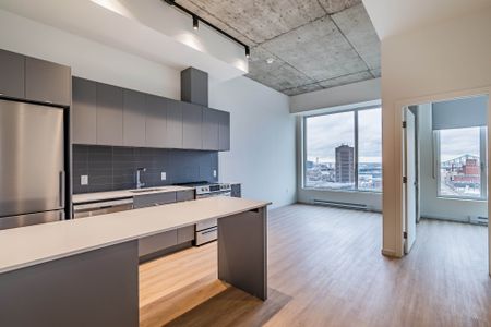 Rue St-Hubert, H2Y 0B9, Montréal - Photo 5