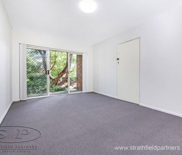 4/11 Russell Street, Strathfield NSW 2135 - Apartment For Rent | Do... - Photo 6