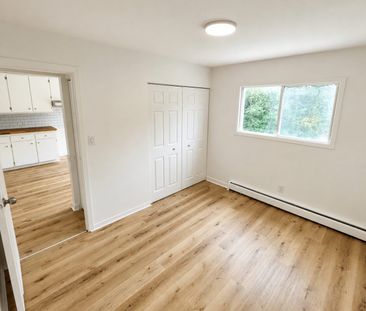 Immeuble - 185 Rue Wilson, Sherbrooke Grand 5 1/2 à Louer à Sherbrooke - Photo 3