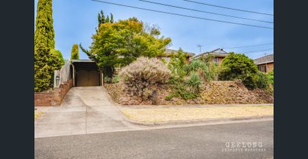Bell Post Beauty (Check Out My 3D Tour) - Photo 5