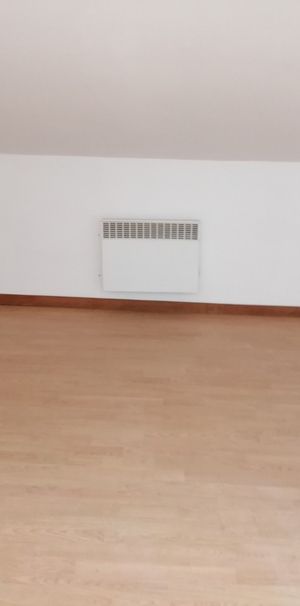 Location Appartement 1 pièce 15m² TOURCOING 59200 - Photo 1