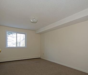 50 Barkton Lane - Photo 5