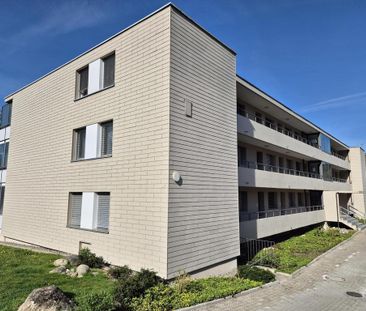 3 Zimmer, 63 m², 1. Stock - Photo 5