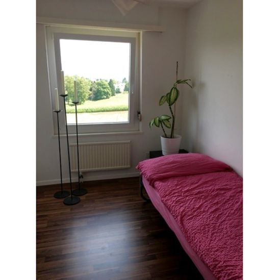 3½ Zimmer-Wohnung in Dübendorf (ZH), möbliert - Photo 1